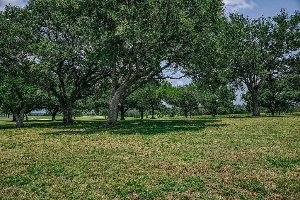 13.07 acres in Washington County - photo 10