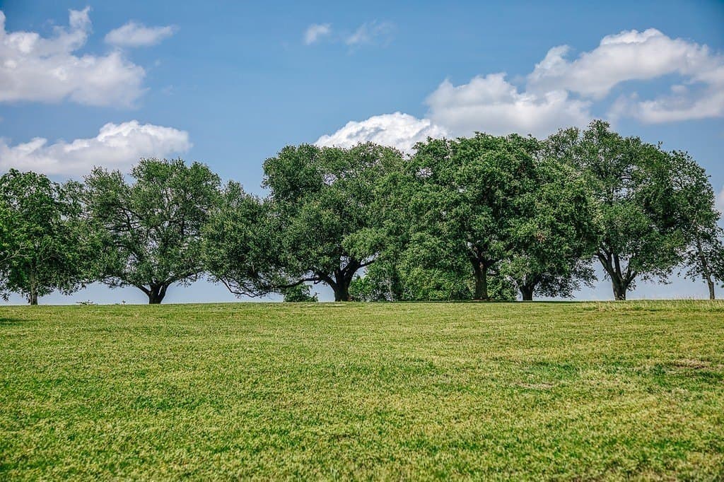 13.07 acres in Washington County - photo 4