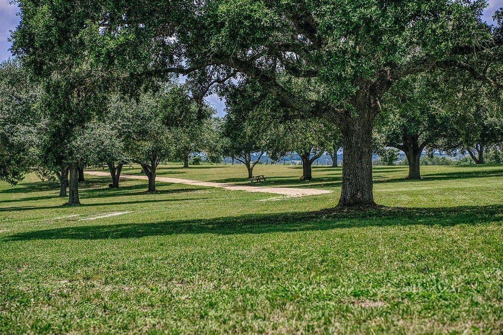 13.07 acres in Washington County - photo 9