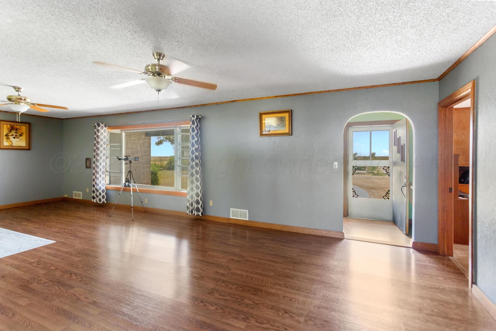 20.3 acres in Hansford County gallery image 4