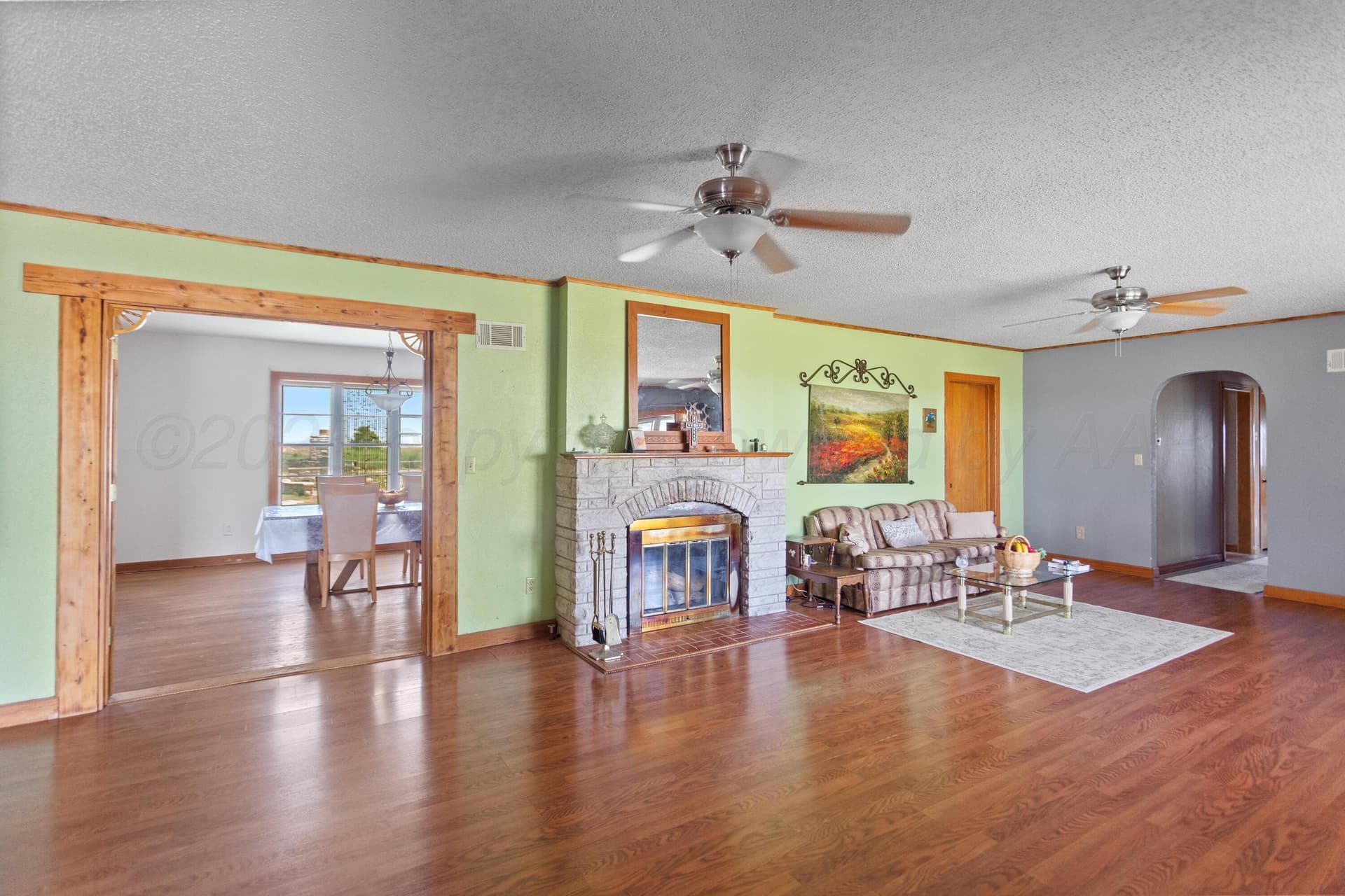 20.3 acres in Hansford County gallery image 3