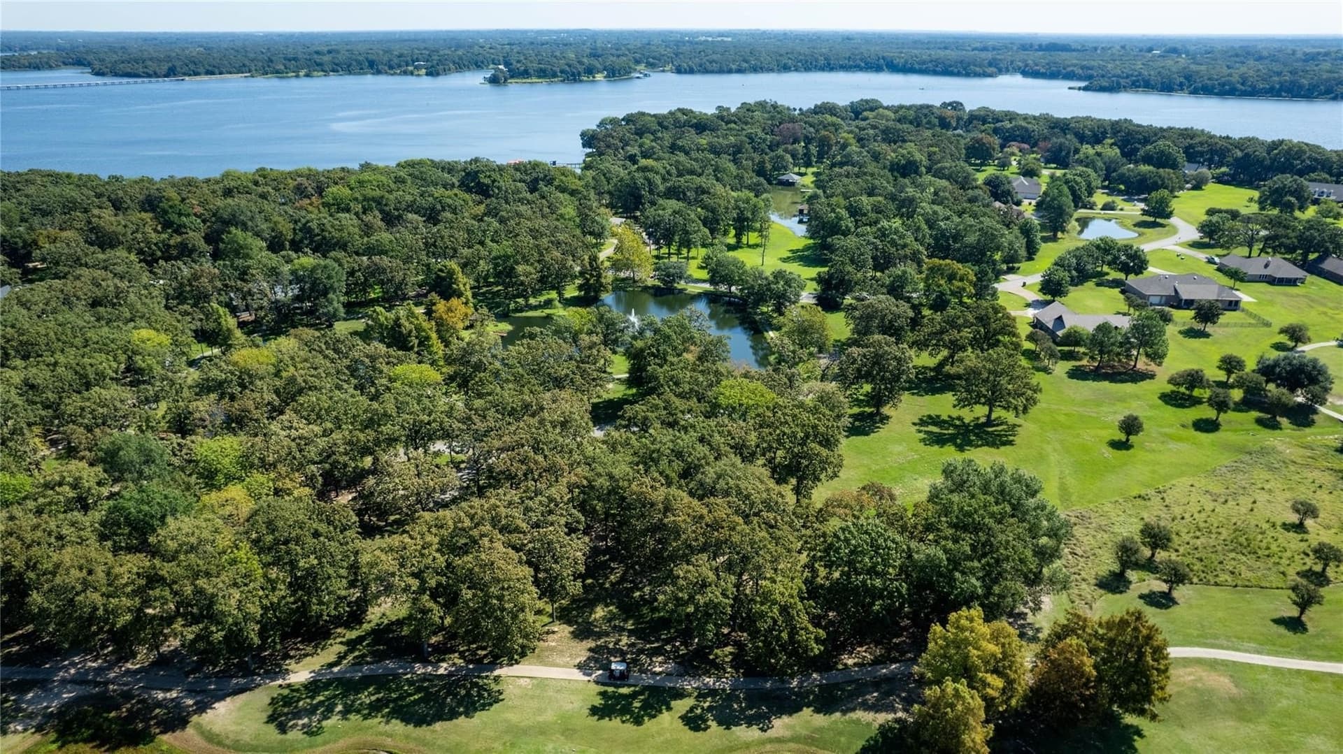 1.19 acres in Wood County gallery image 4