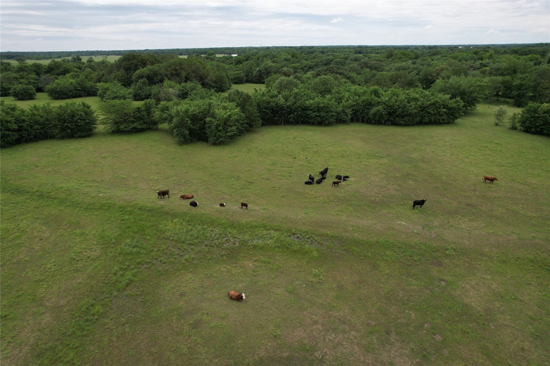 34.14 acres in Hopkins County - photo 13