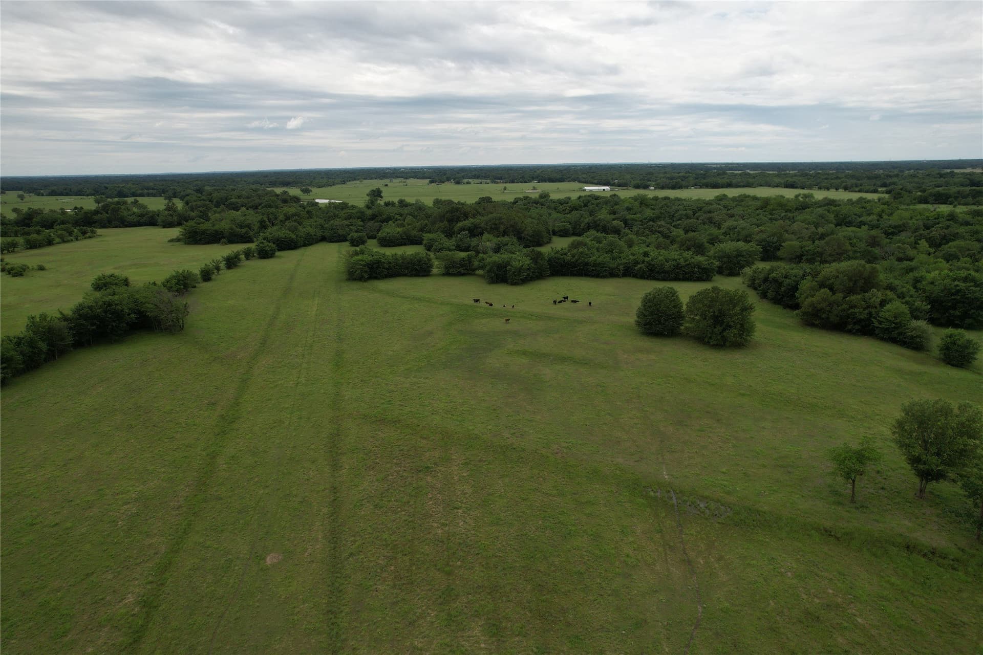 34.14 acres in Hopkins County - photo 17
