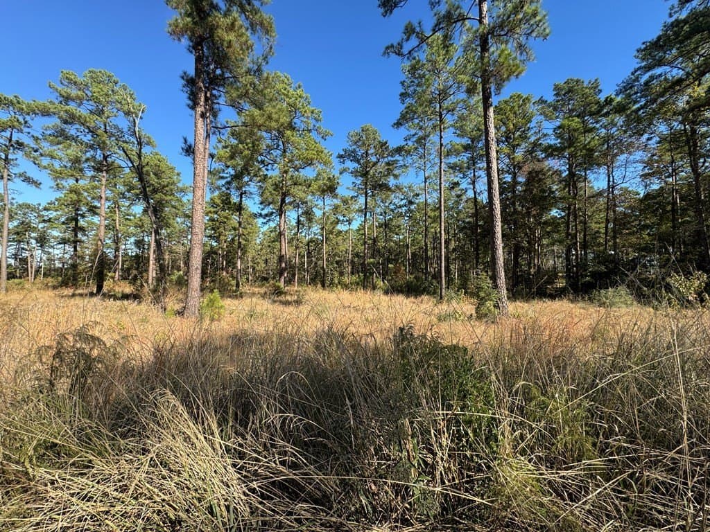 1.52 acres in Texas County - photo 11