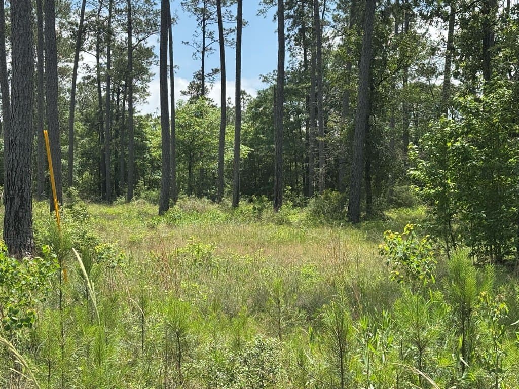 1.52 acres in Texas County - photo 9