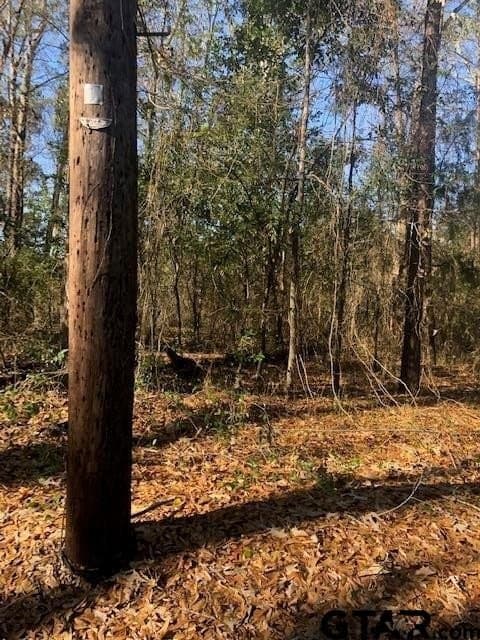 0.02 acres in Rusk County gallery image 2