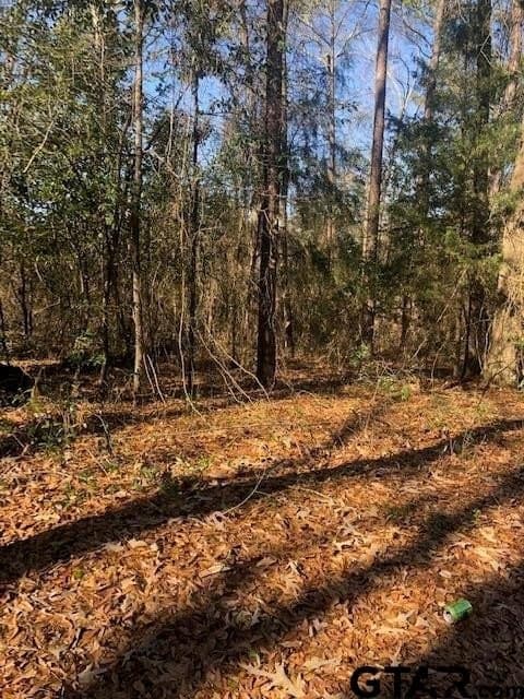 0.02 acres in Rusk County gallery image 3