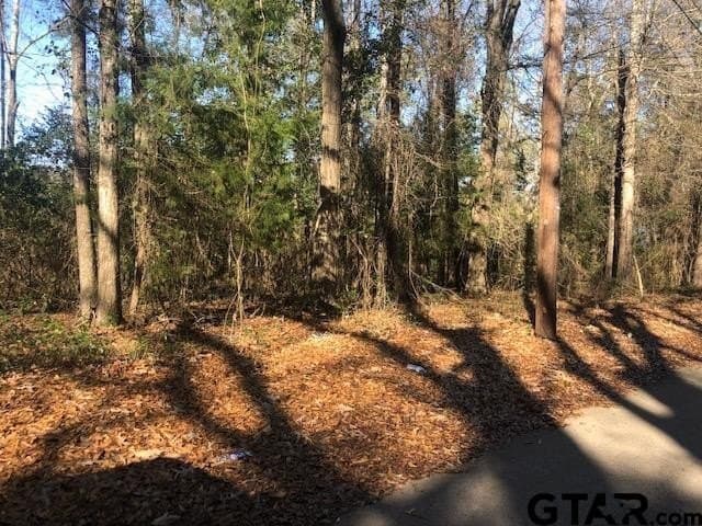 0.02 acres in Rusk County gallery image 4