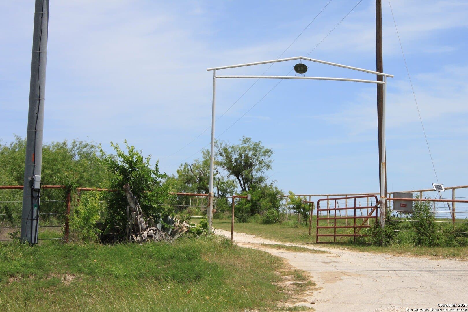 10.74 acres in Guadalupe County gallery image 4