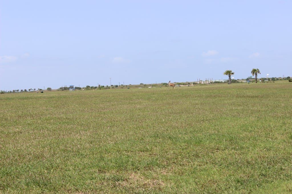 0.31 acres in Palacios Area County - photo 7