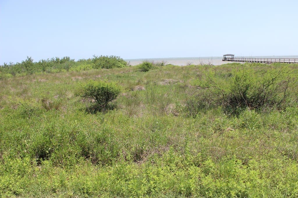 0.31 acres in Palacios Area County featured view