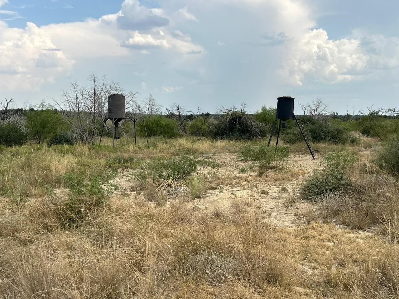 50 acres in McCulloch County - photo 27