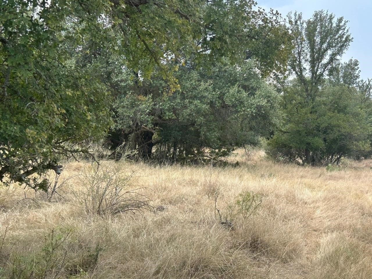 50 acres in McCulloch County - photo 35