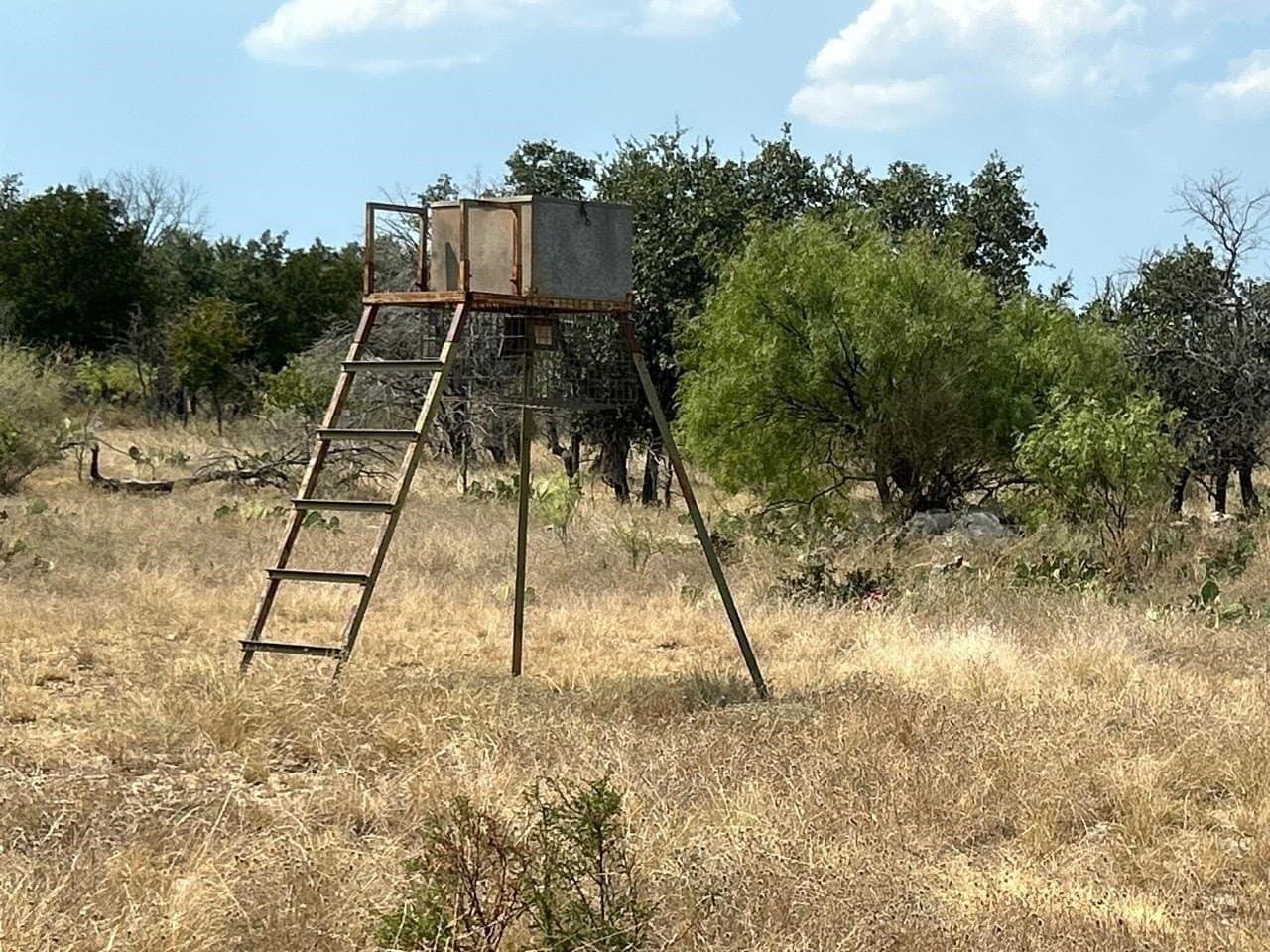 50 acres in McCulloch County - photo 31