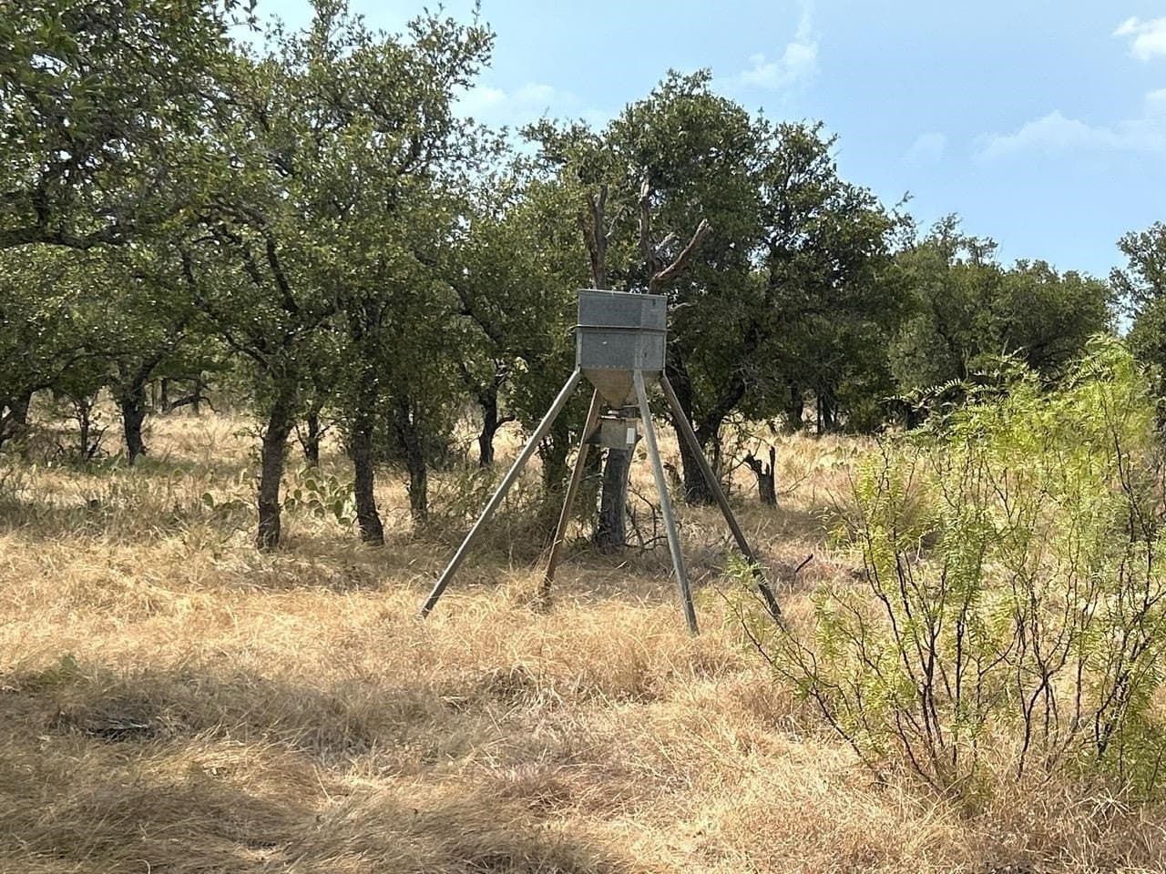 50 acres in McCulloch County - photo 34