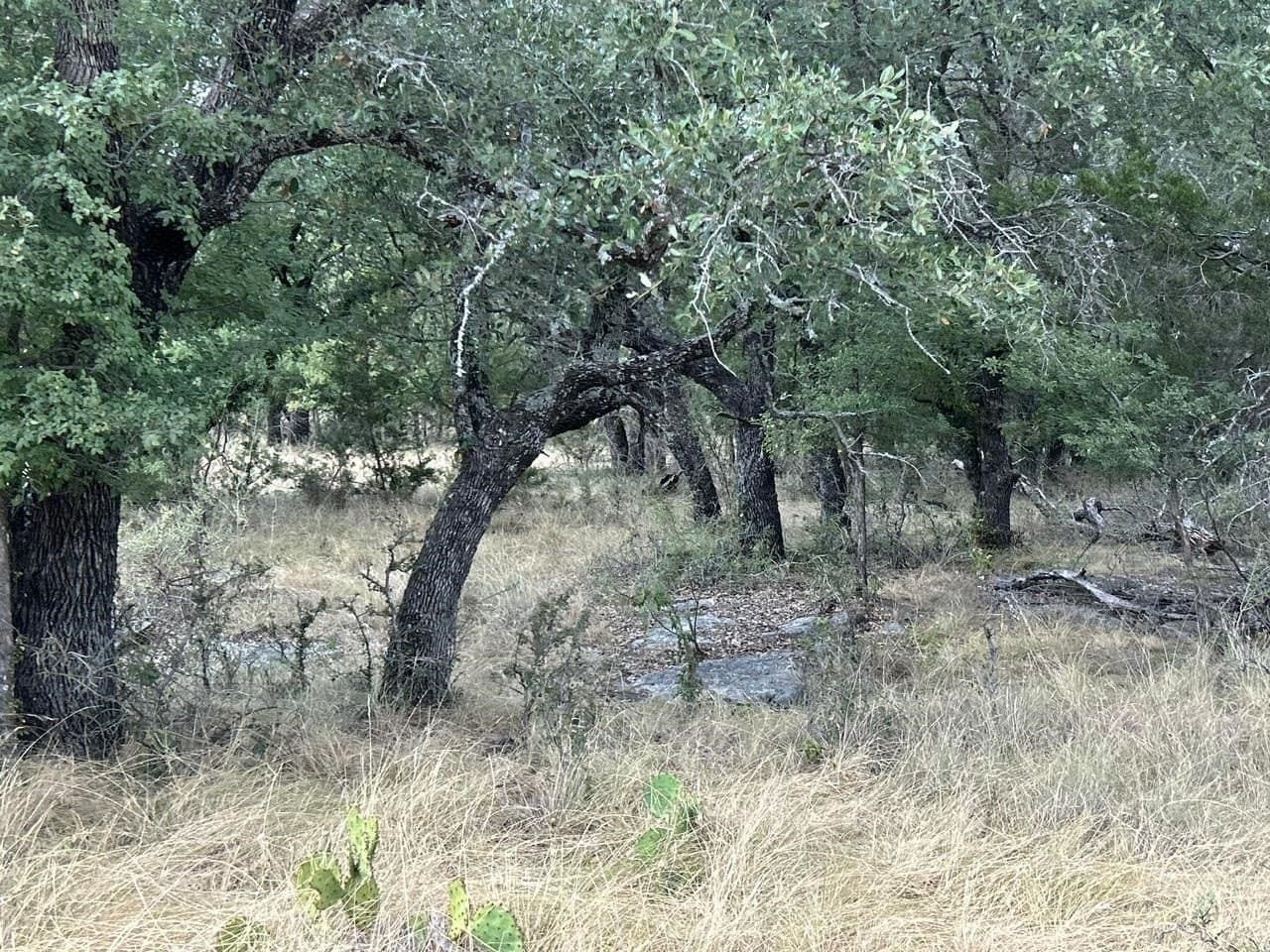 50 acres in McCulloch County - photo 36