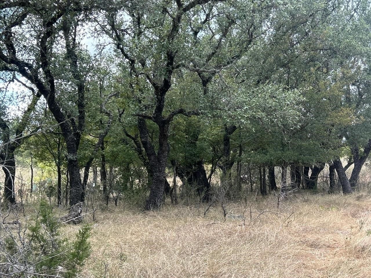 50 acres in McCulloch County - photo 29