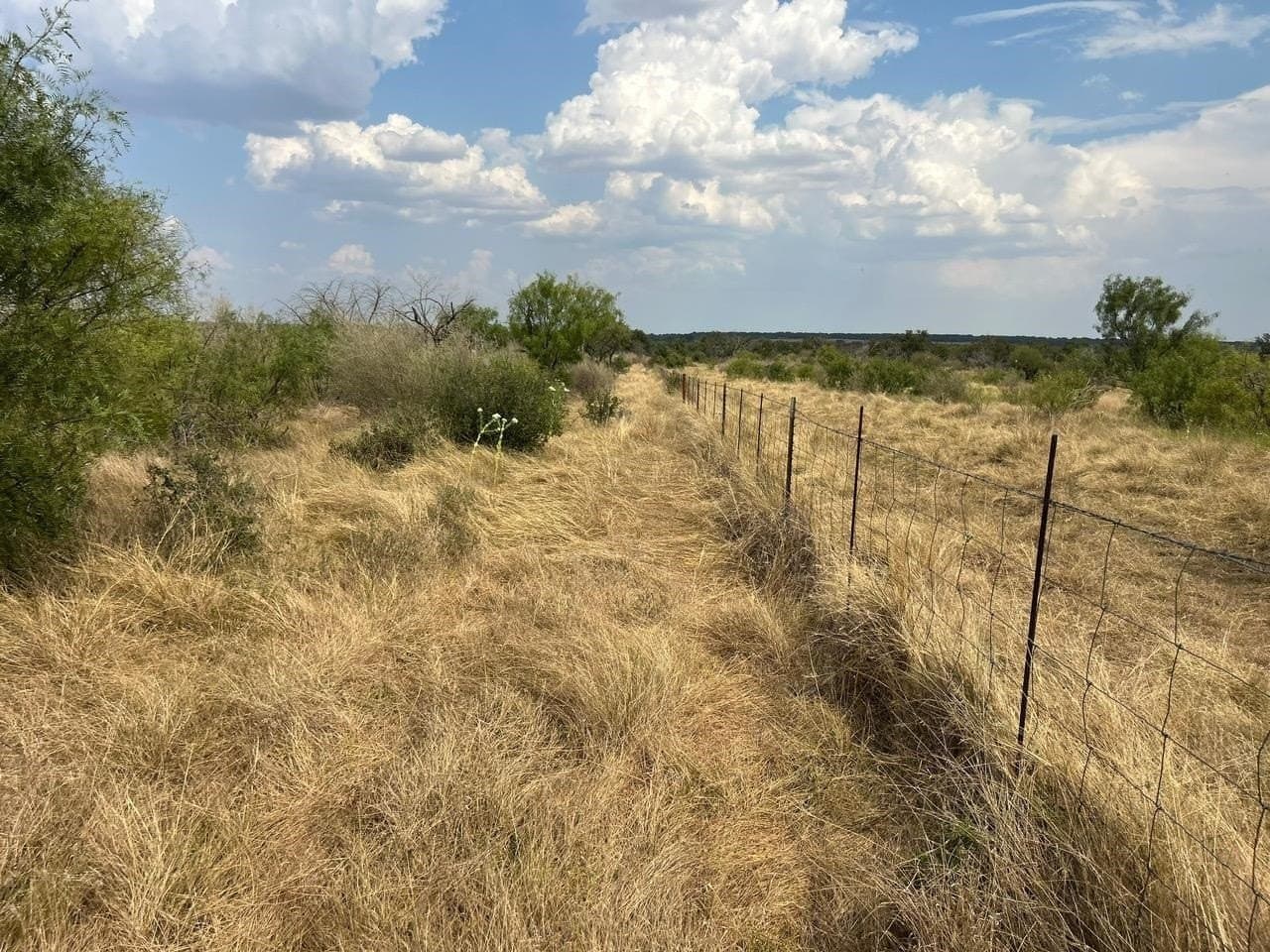 50 acres in McCulloch County - photo 26