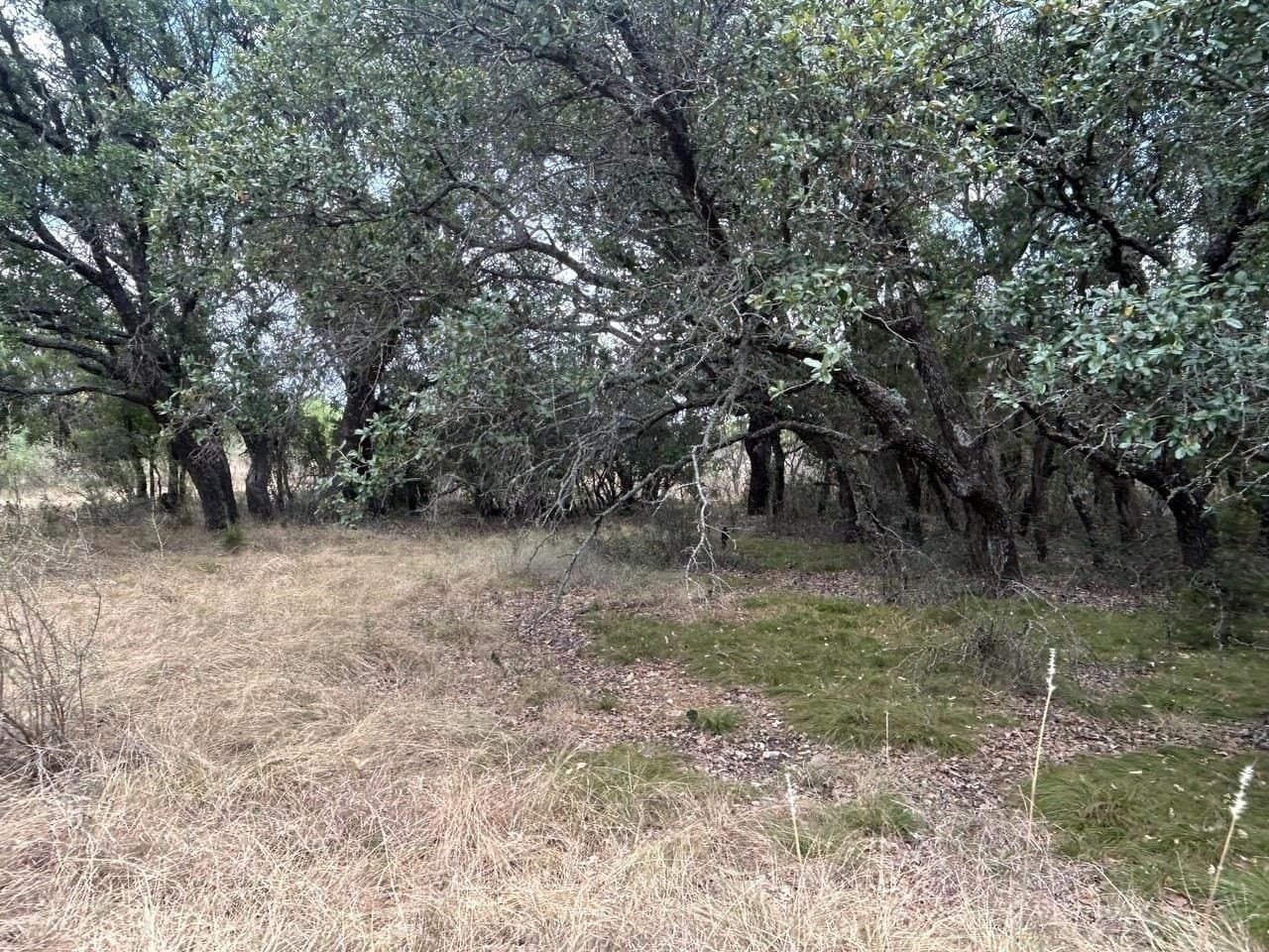 50 acres in McCulloch County - photo 33