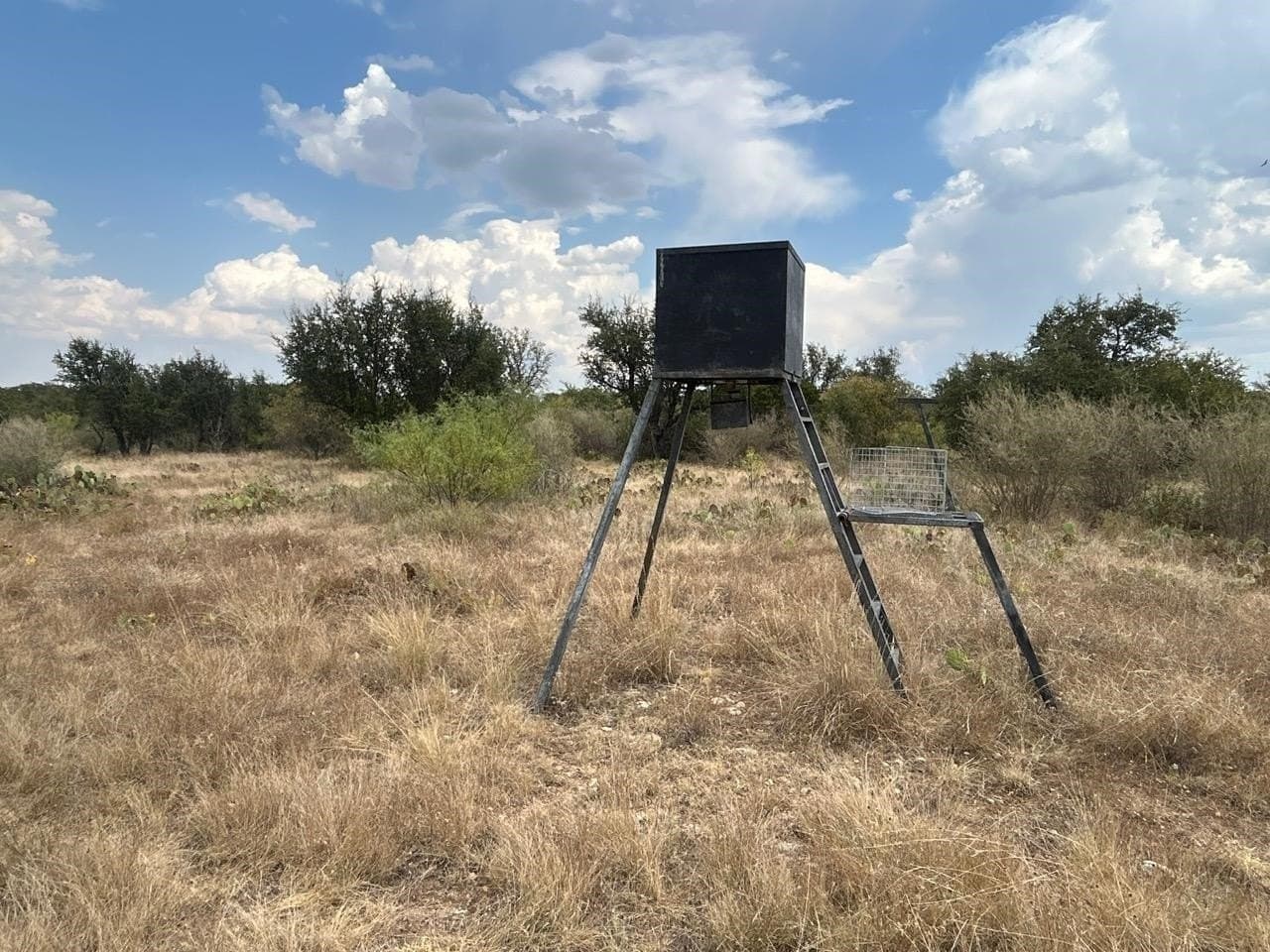 50 acres in McCulloch County - photo 21