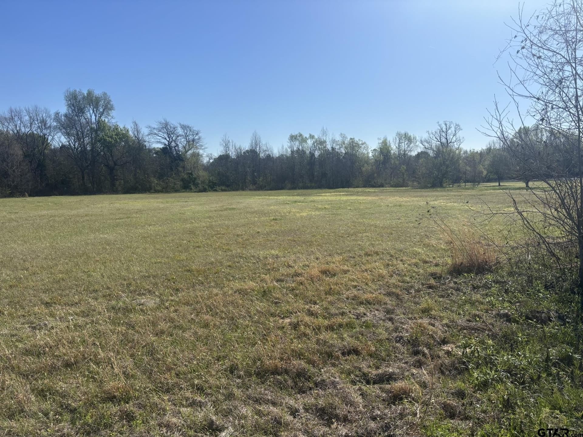 1.01 acres in Camp County gallery image 3