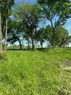4.06 acres in Hill County - photo 4