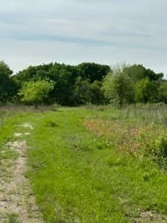 4.06 acres in Hill County - photo 2