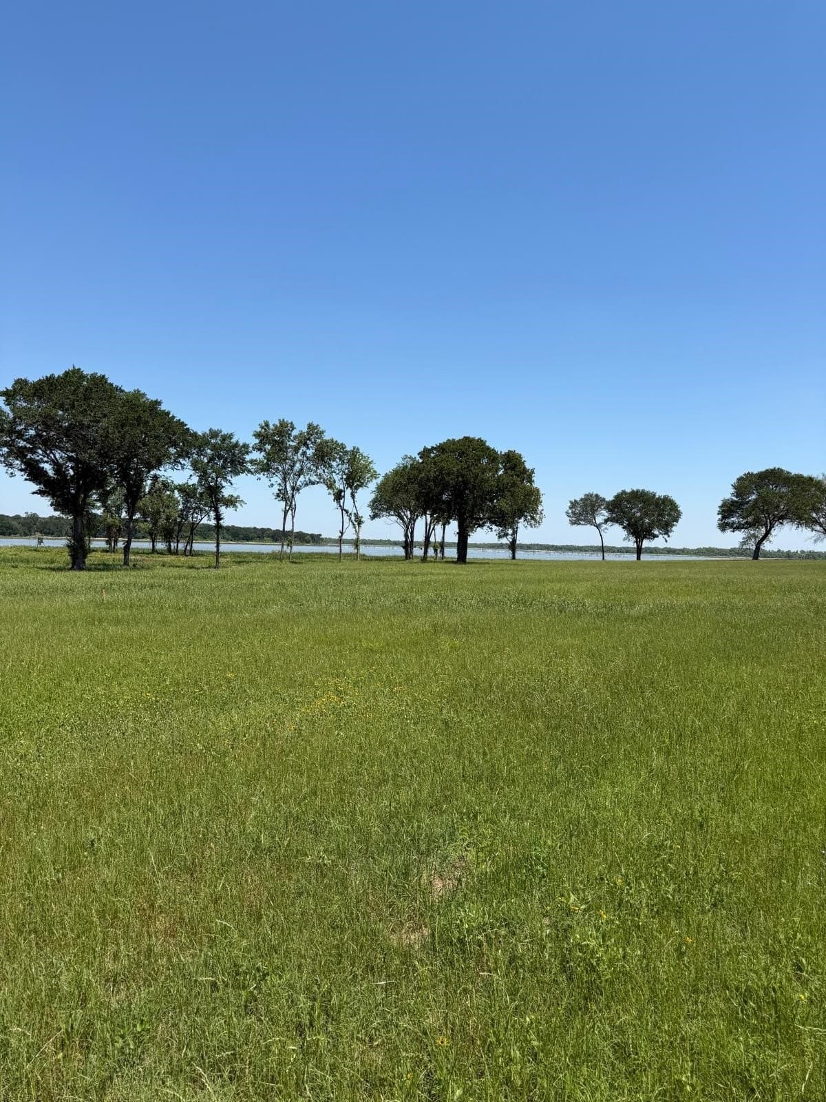 2.63 acres in Navarro County - photo 3