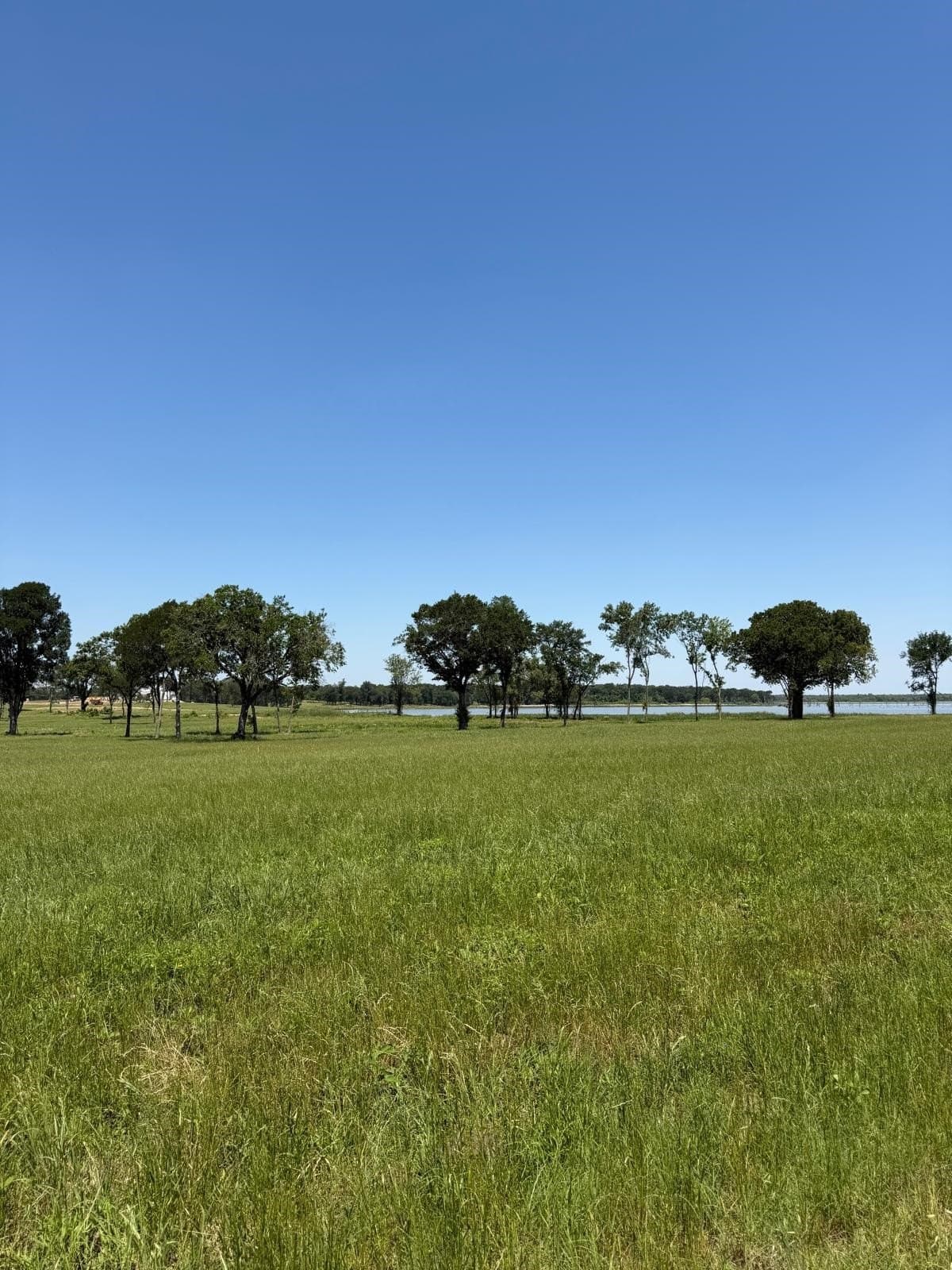 2.63 acres in Navarro County - photo 4