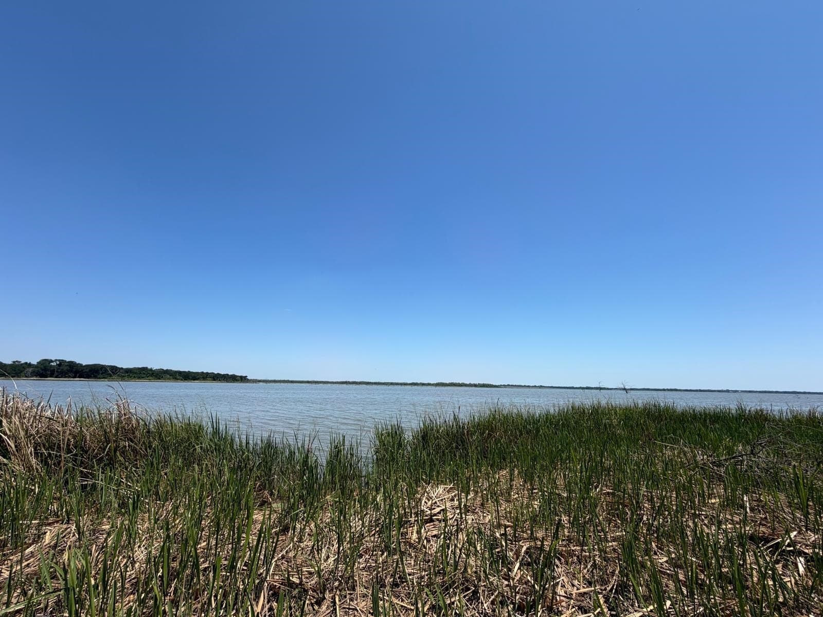 2.63 acres in Navarro County - photo 2