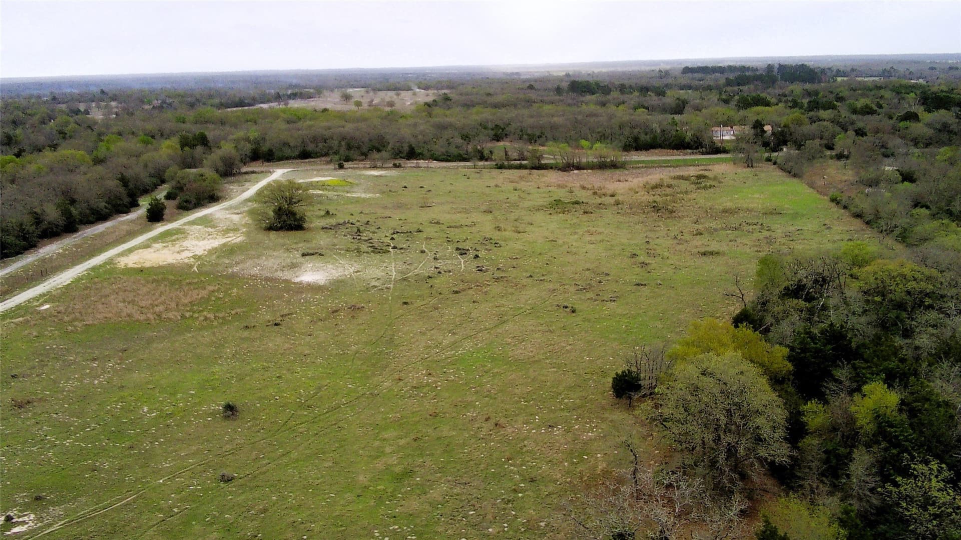 15 acres in Limestone County - photo 3