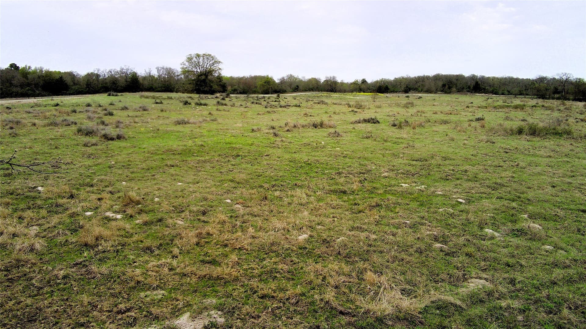 15 acres in Limestone County - photo 9