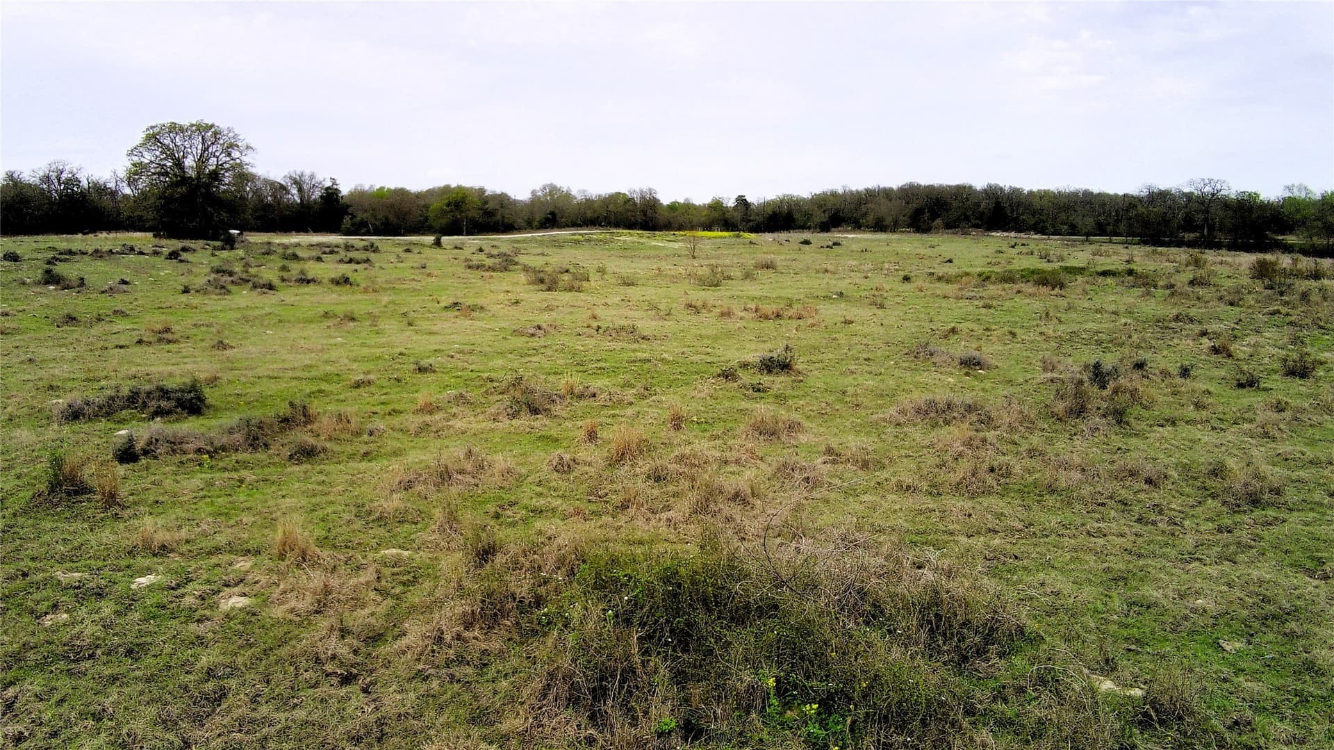 15 acres in Limestone County - photo 8
