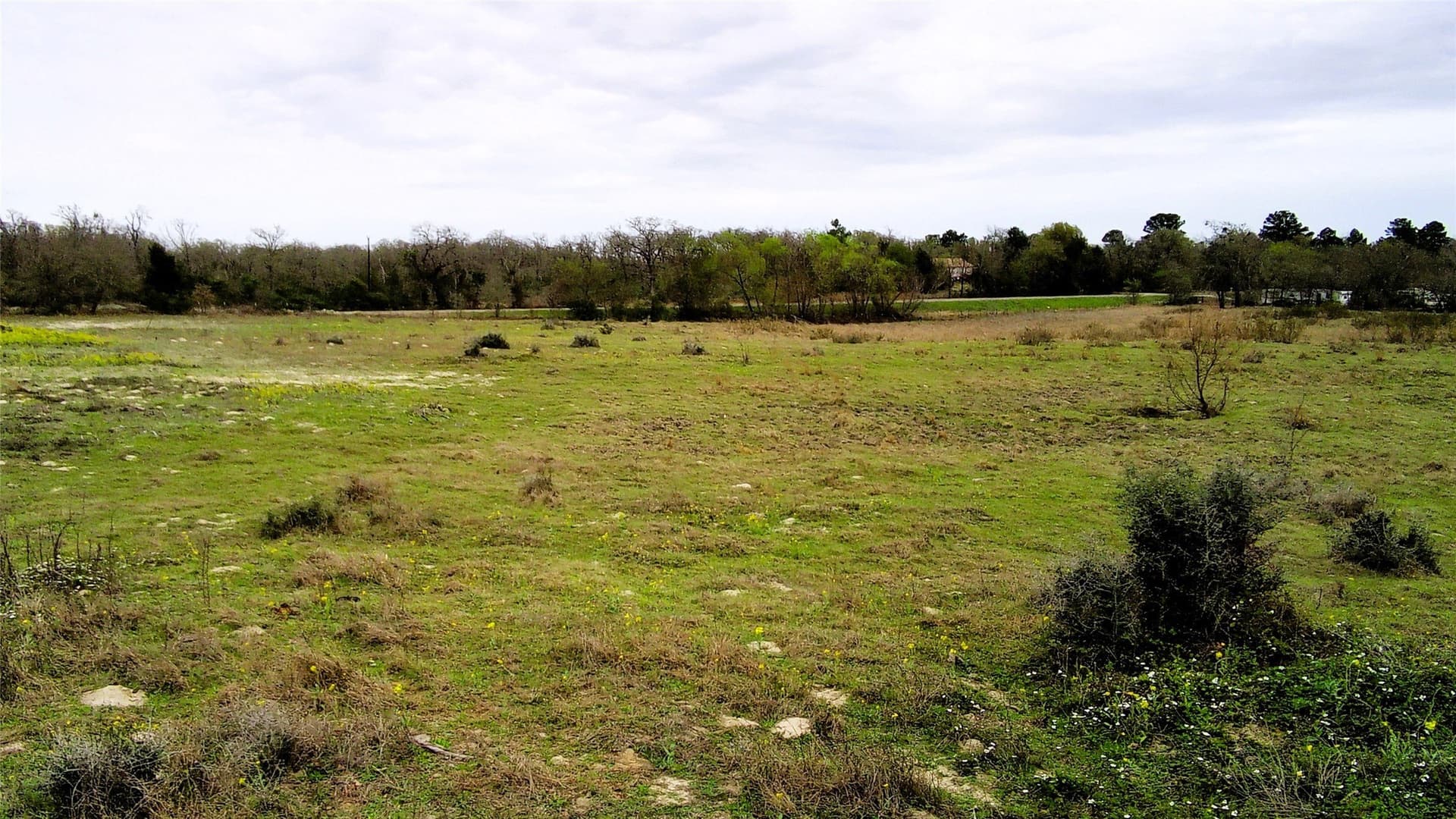 15 acres in Limestone County - photo 10