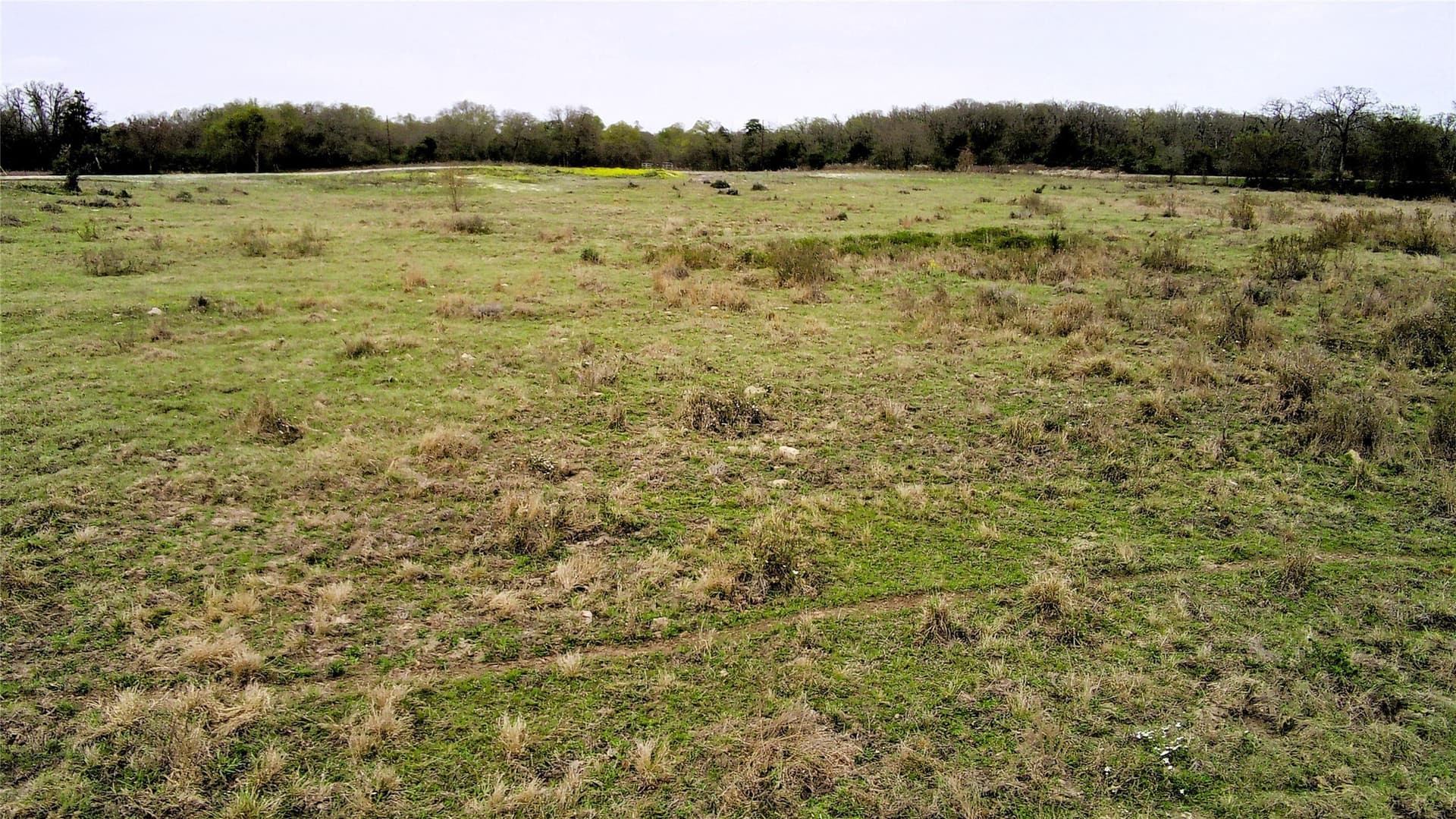 15 acres in Limestone County - photo 7