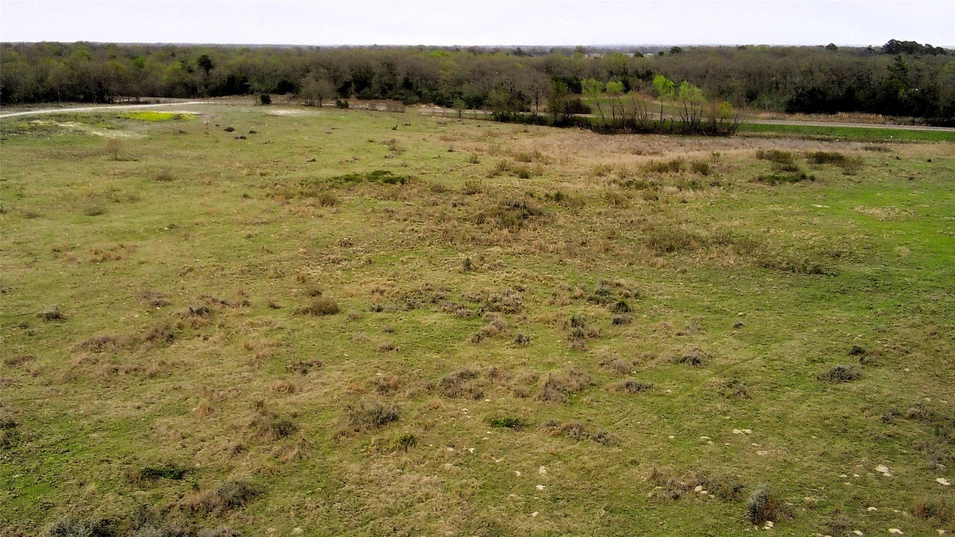 15 acres in Limestone County - photo 4