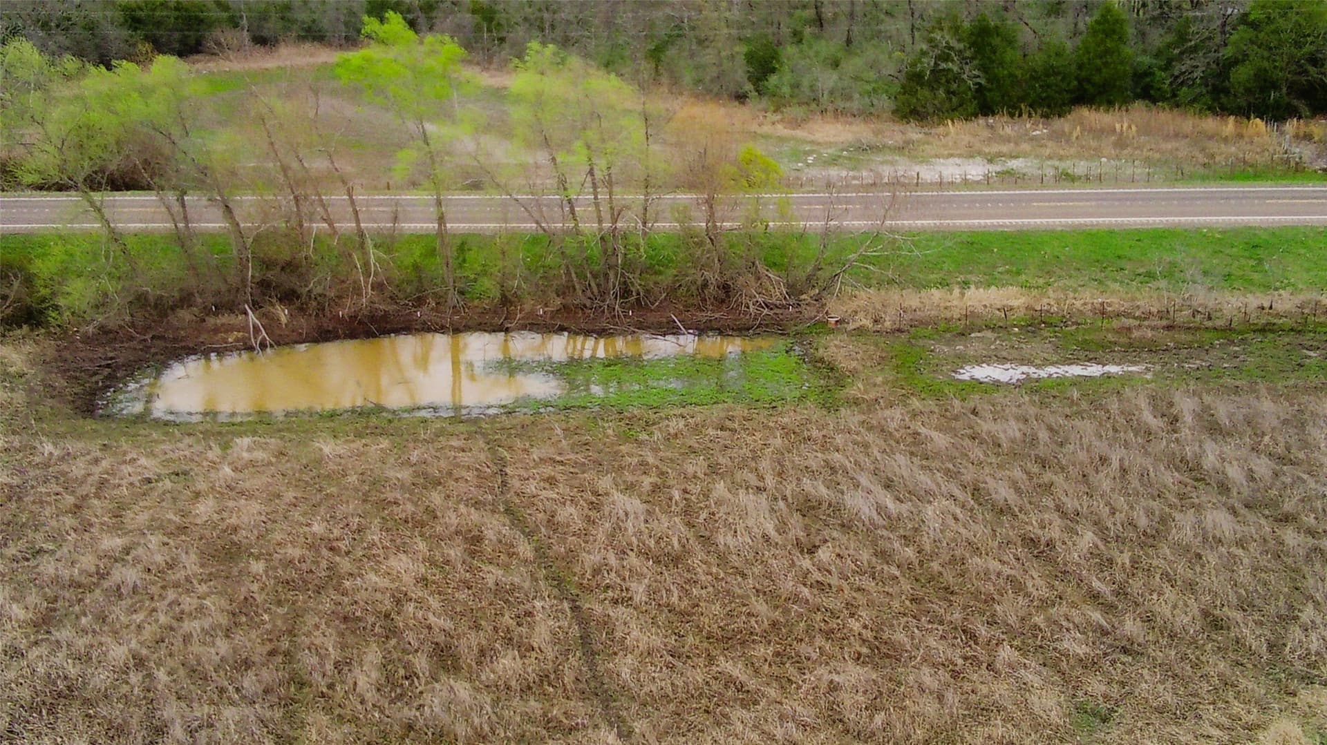 15 acres in Limestone County - photo 6