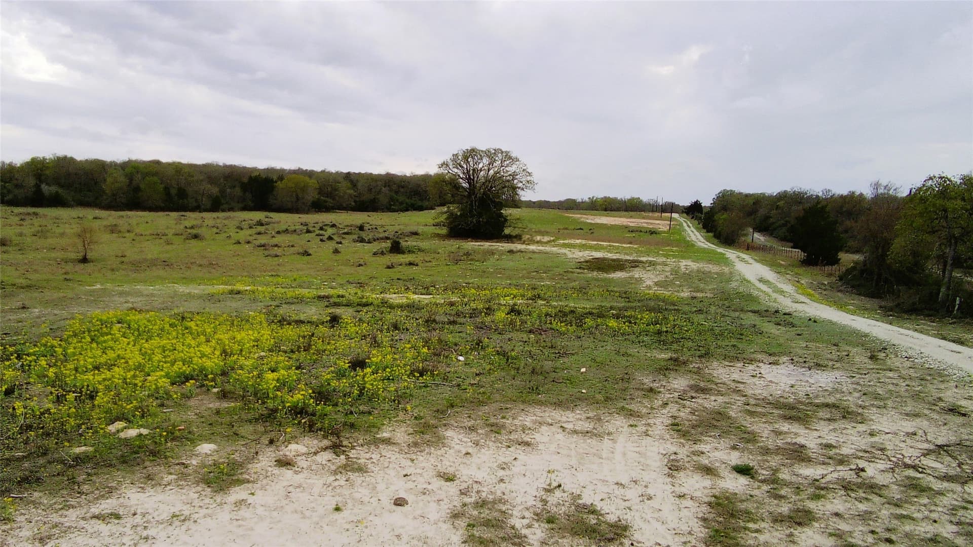 15 acres in Limestone County - photo 11