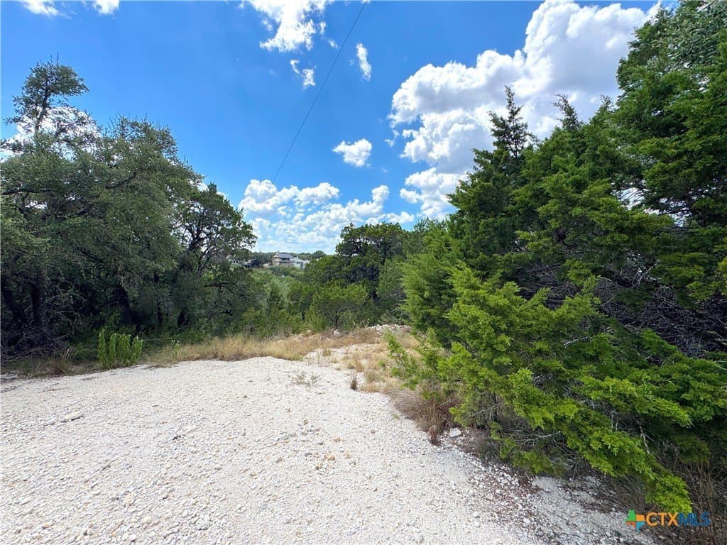 0.91 acres in Comal County - photo 7