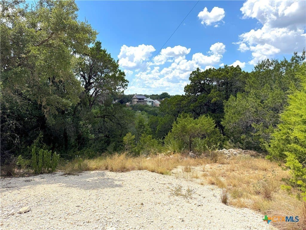 0.91 acres in Comal County - photo 15