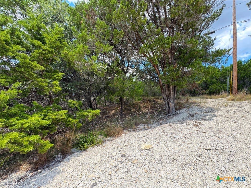 0.91 acres in Comal County - photo 12