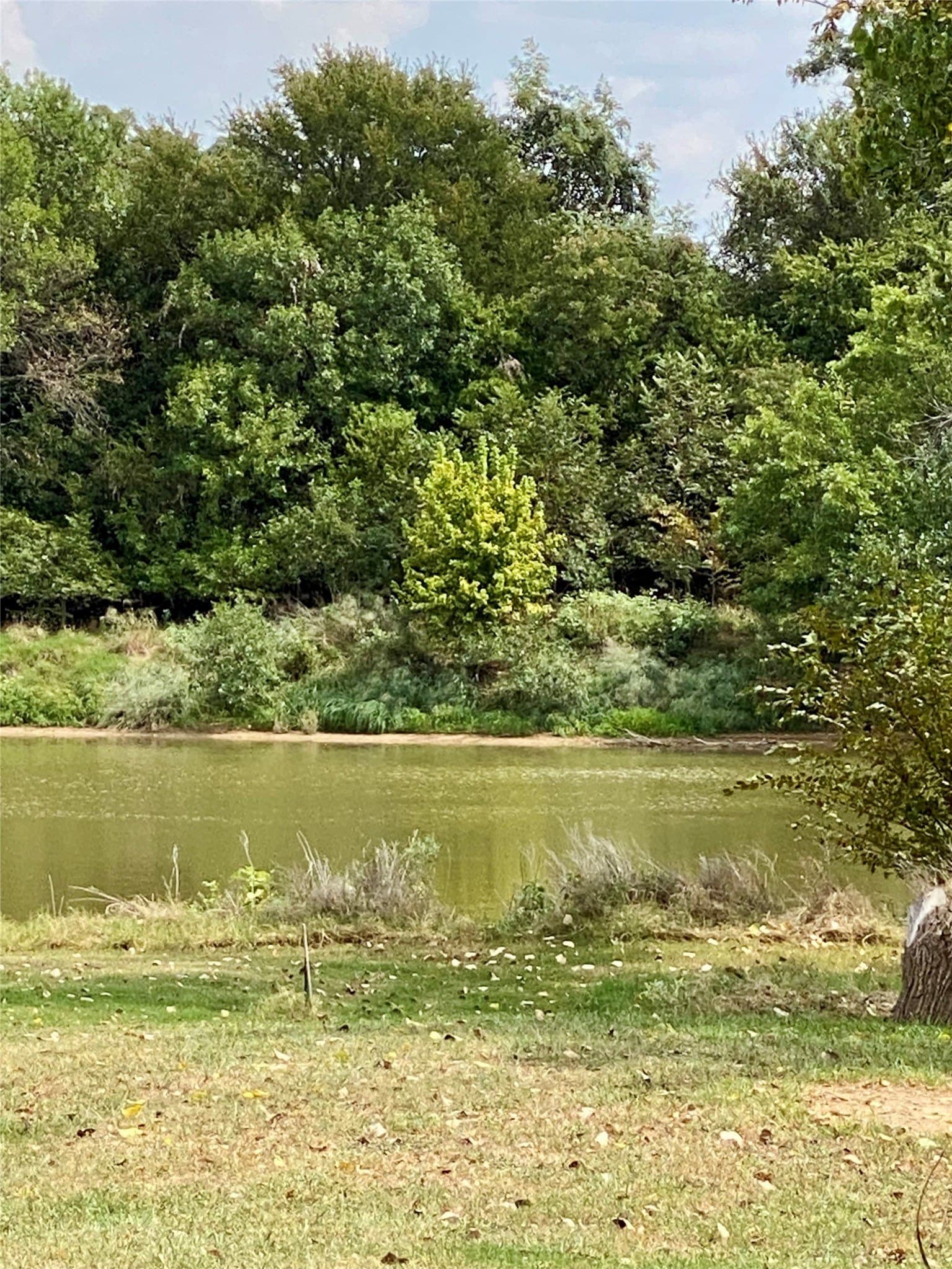 0.24 acres in Parker County - photo 8
