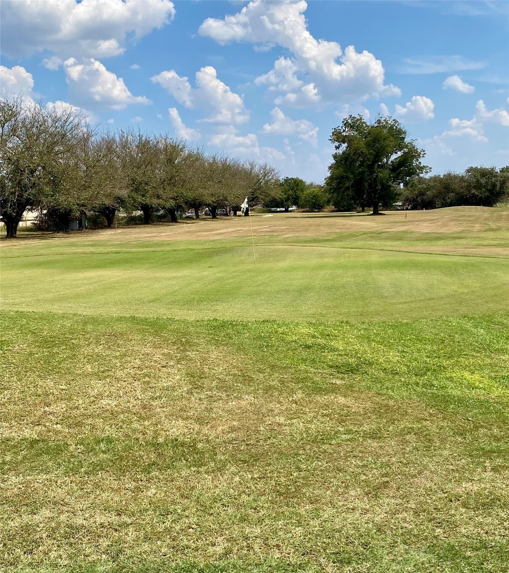 0.24 acres in Parker County - photo 12