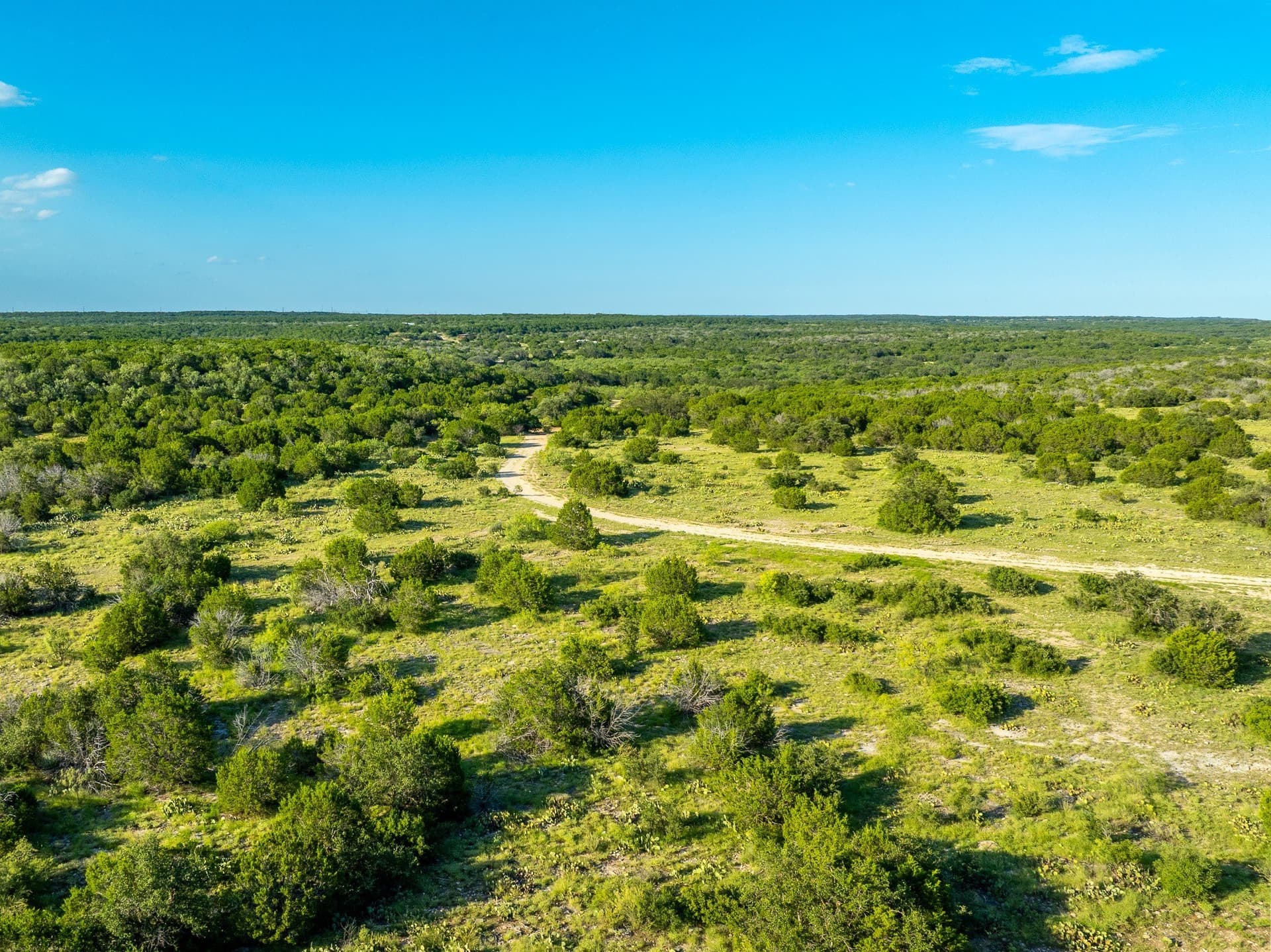 1,481 acres in Coleman County - photo 13