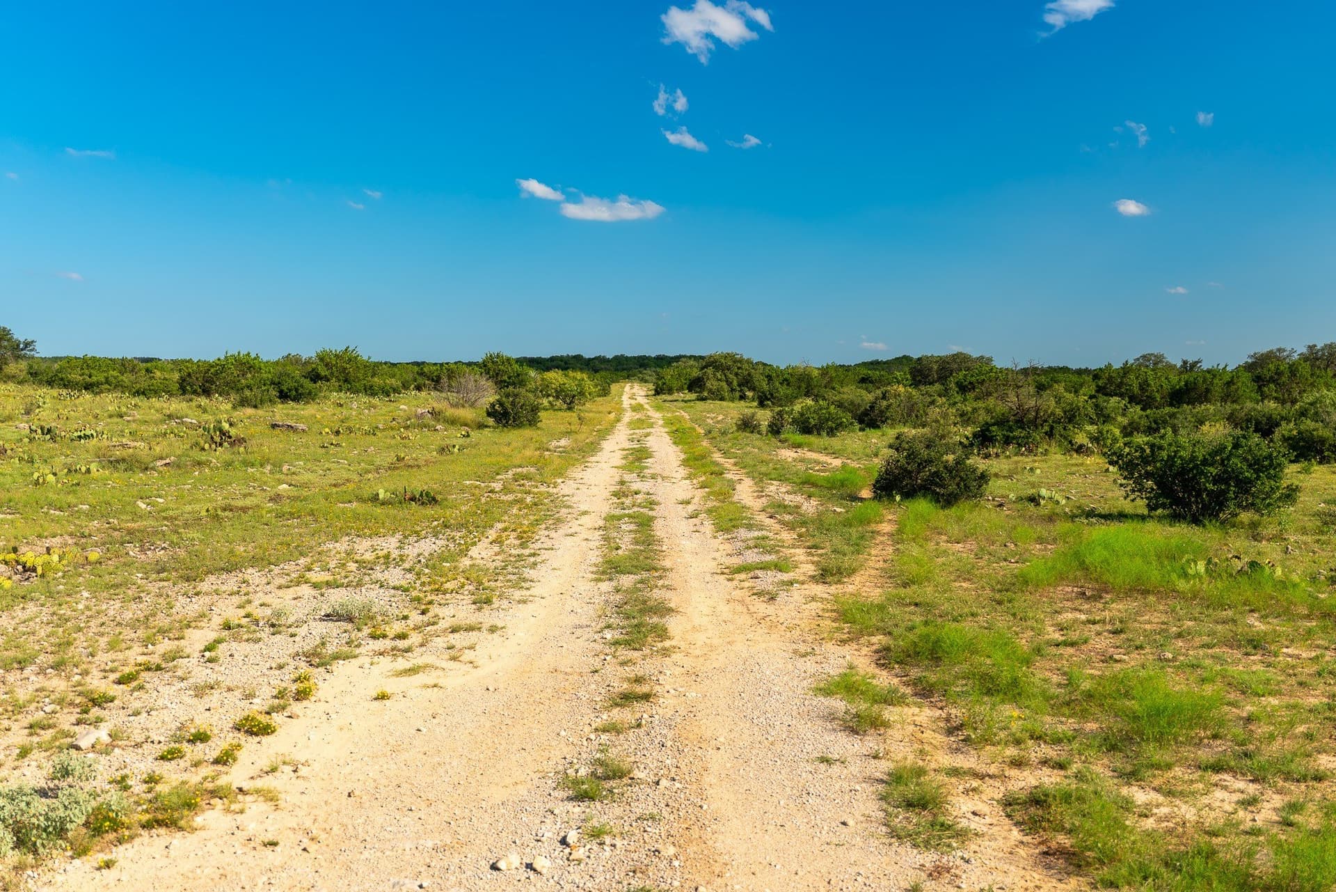 1,481 acres in Coleman County - photo 21