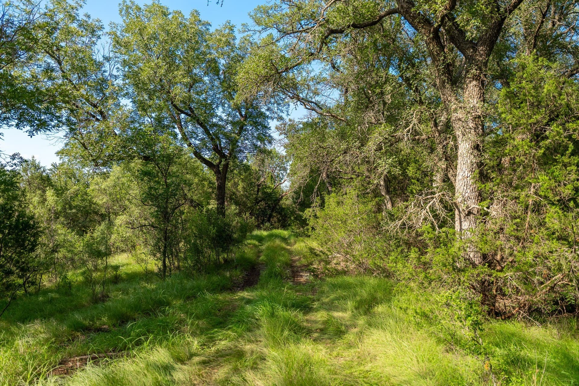1,481 acres in Coleman County - photo 20