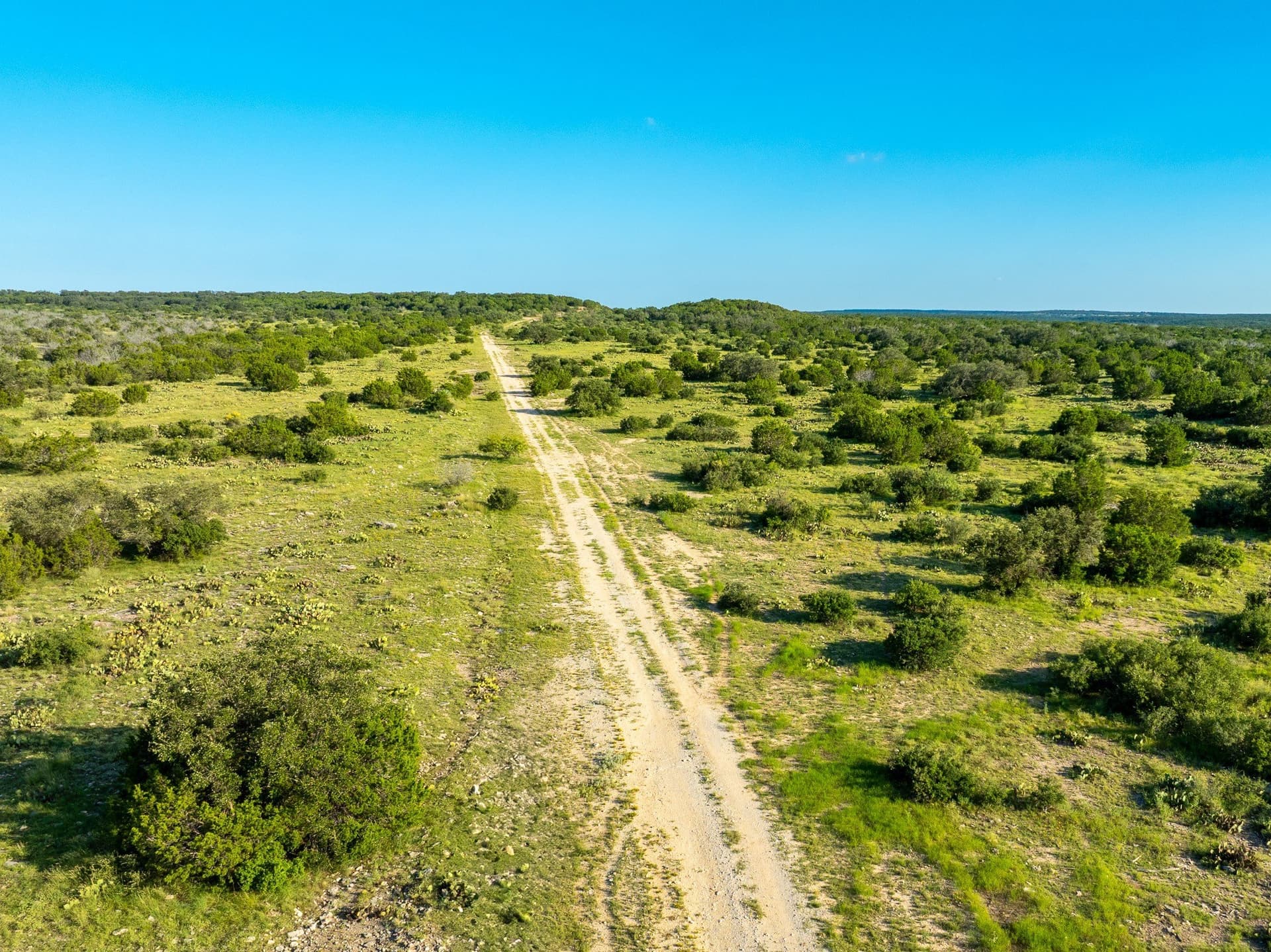 1,481 acres in Coleman County - photo 11