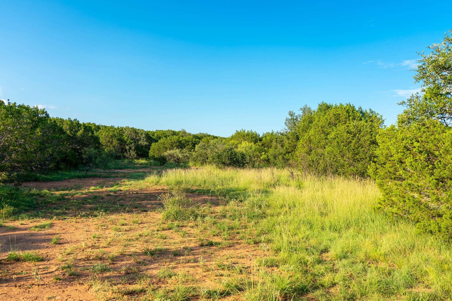 1,481 acres in Coleman County - photo 24