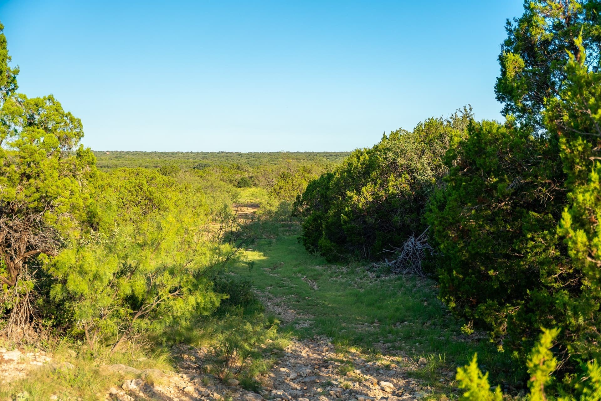 1,481 acres in Coleman County - photo 25